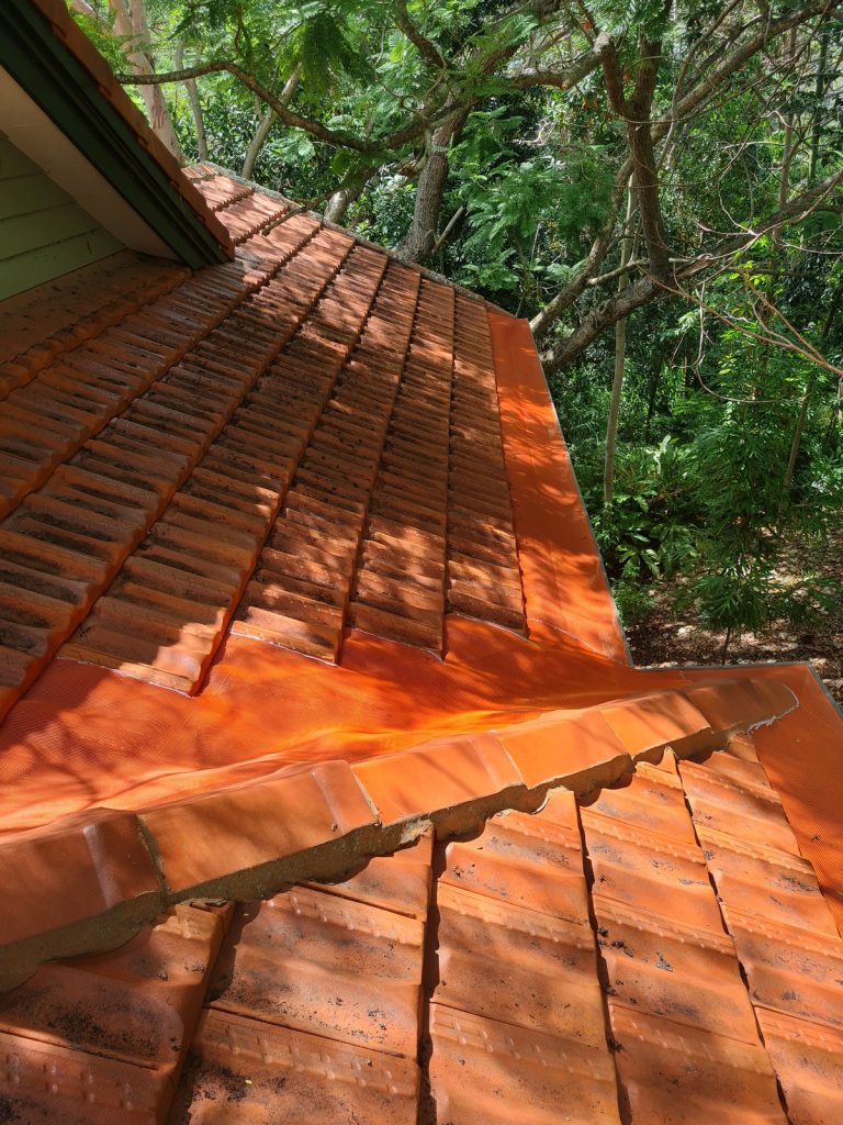 LeafShield 20230213_132250
